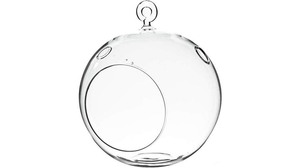 hanging glass succulent globe
