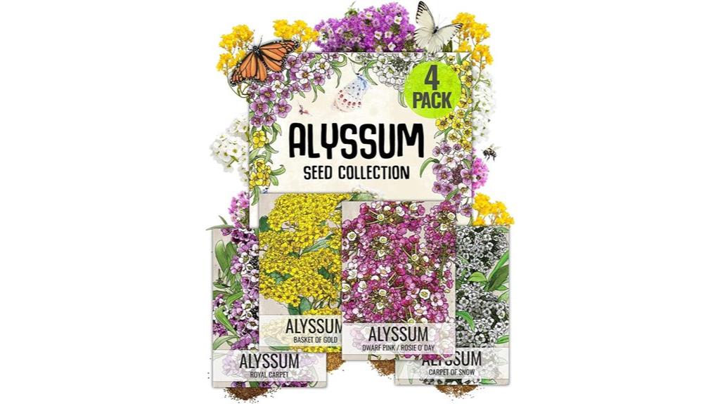 heirloom alyssum seed pack