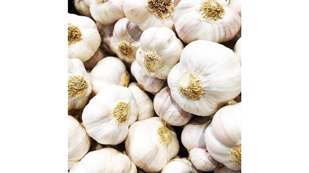 heirloom garlic for planting