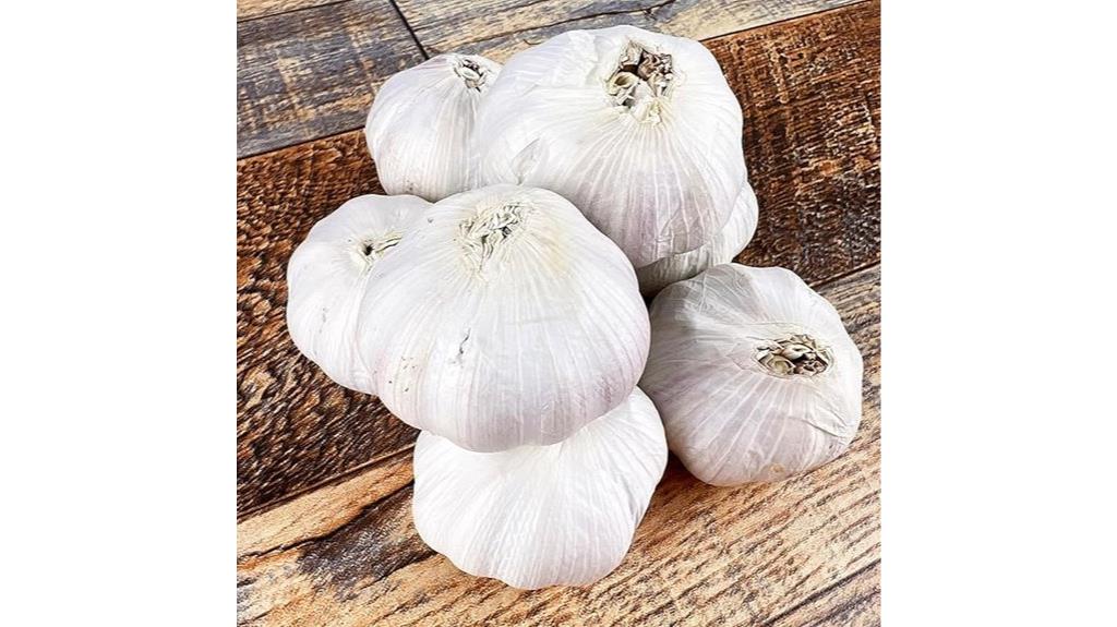 heirloom hardneck garlic