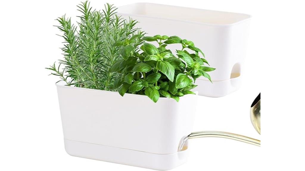 indoor herb planter set