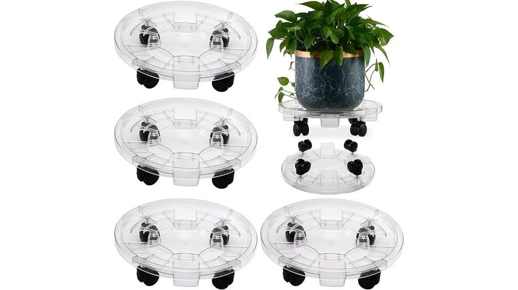 large clear wheeled saucers