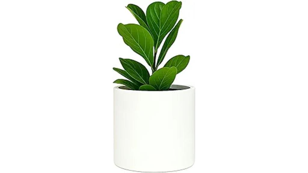 large fox fern pot