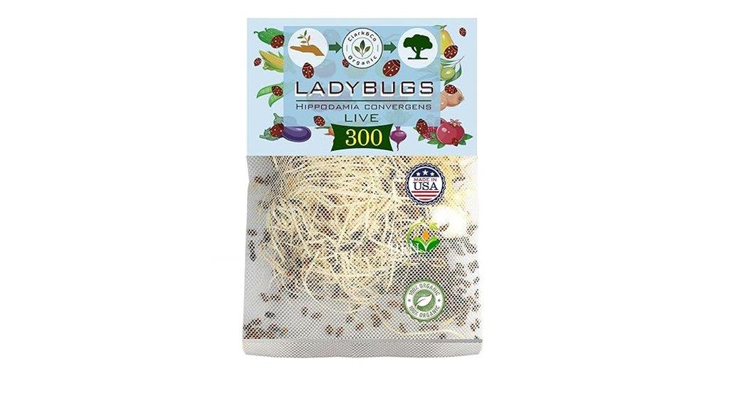 large pack of live ladybugs