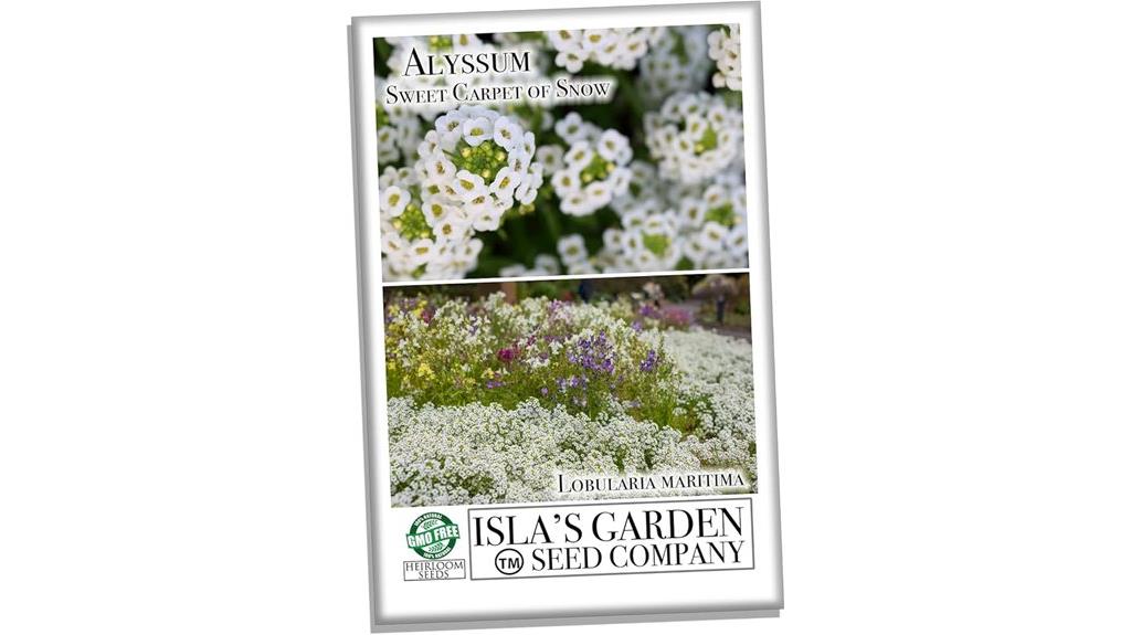 large packet of alyssum seeds