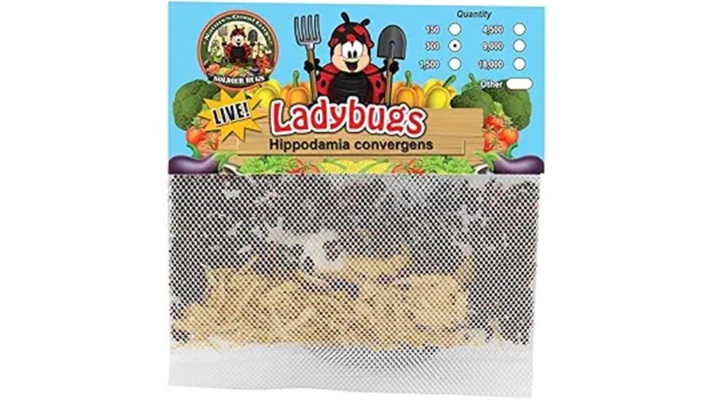 live ladybugs guaranteed delivery