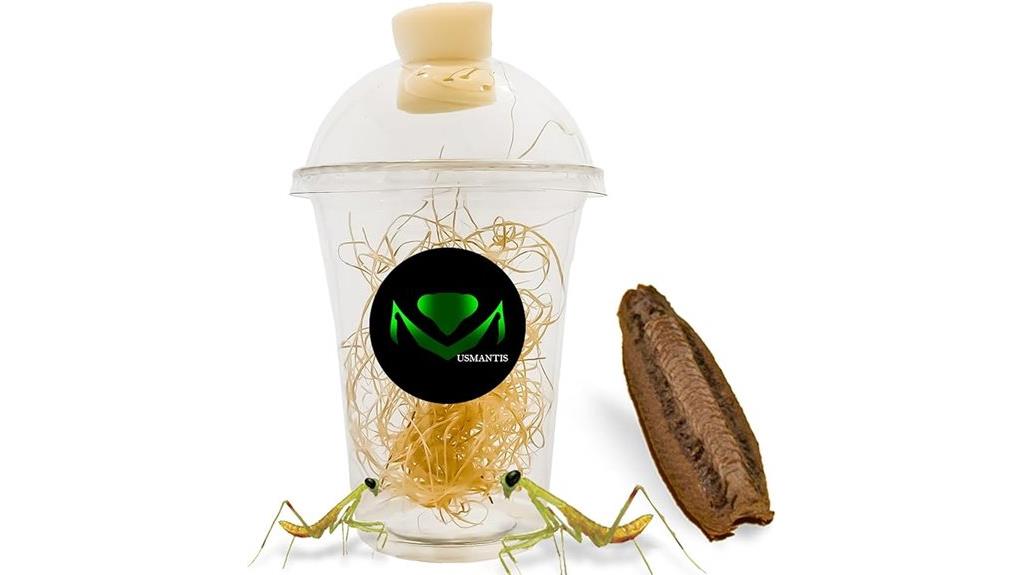 mantid egg case cup