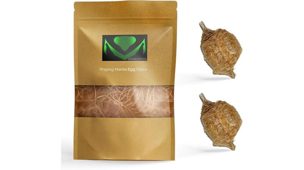 mantid egg case pack