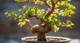 miniature tree cultivation tips