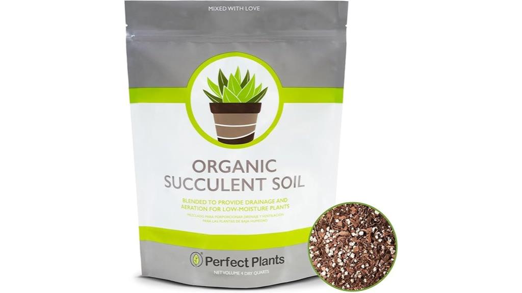 natural succulent cactus soil
