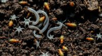 nematodes and insects pest control
