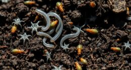 nematodes and insects pest control