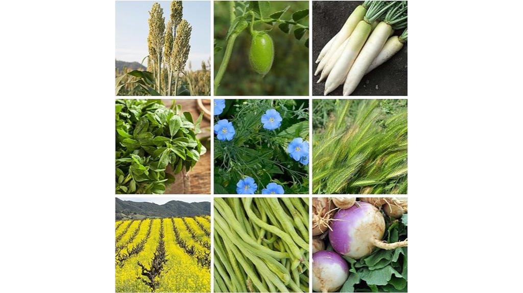 no till cover crop mix