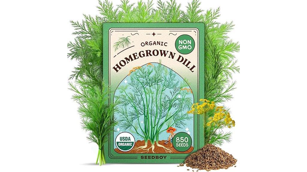 organic dill seeds gardening