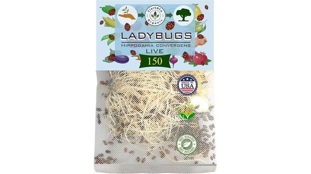 organic live ladybugs pack