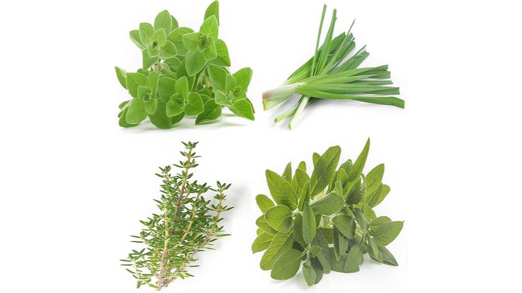 perennial herb seed pack