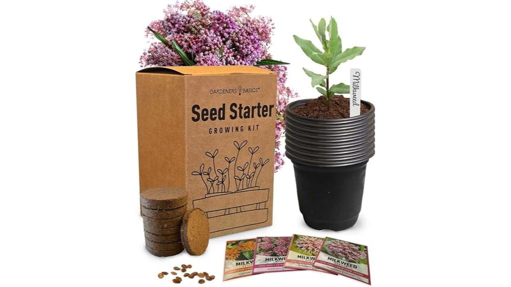 plant native butterfly milkweed