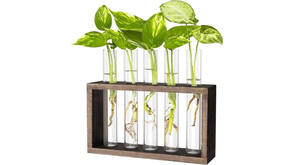 plant propagation test station