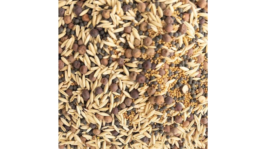 pollinator friendly organic seed mix