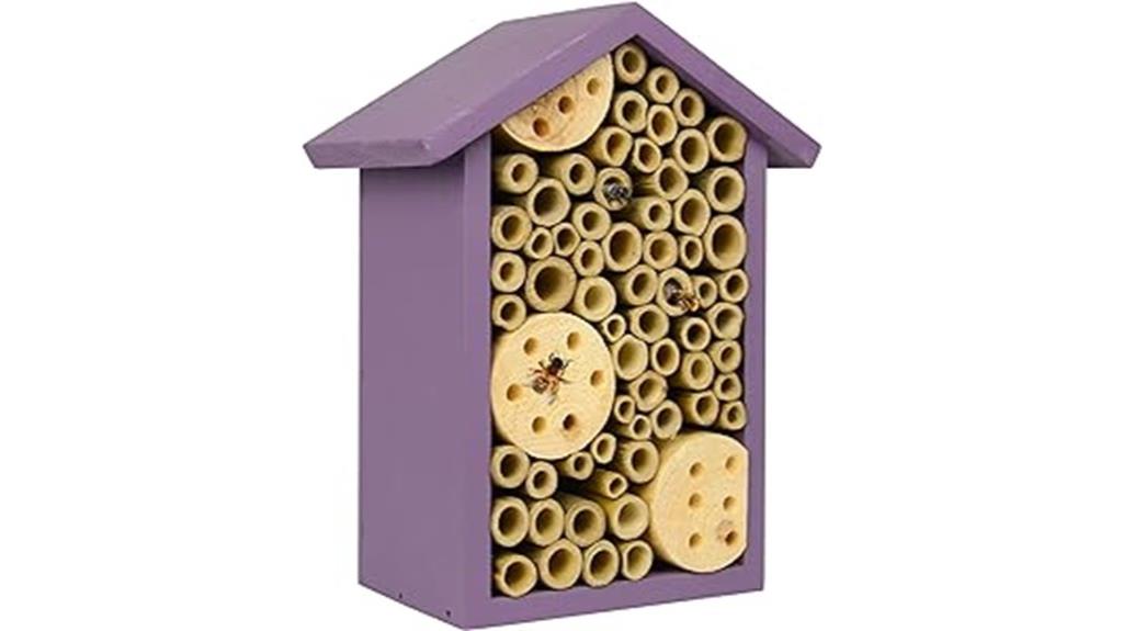 purple bee house
