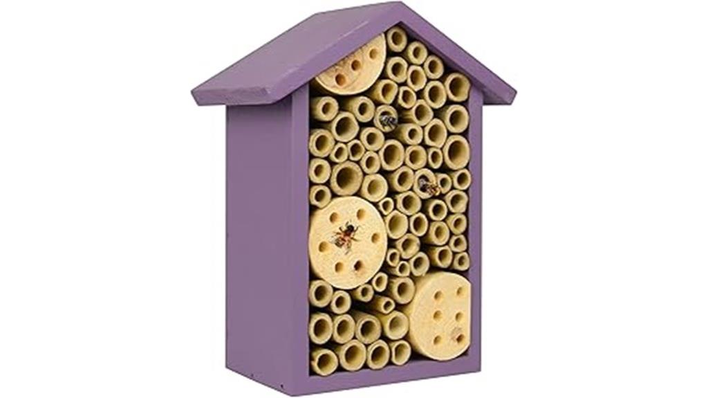 purple bee house