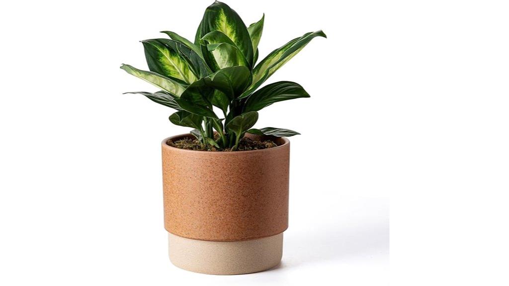 self watering ceramic planter