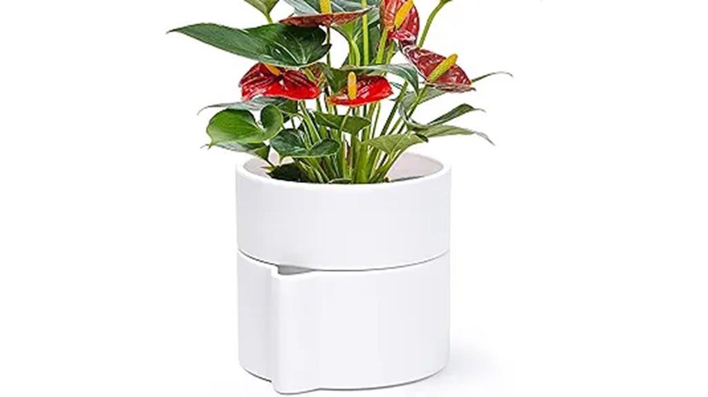 self watering planter pot