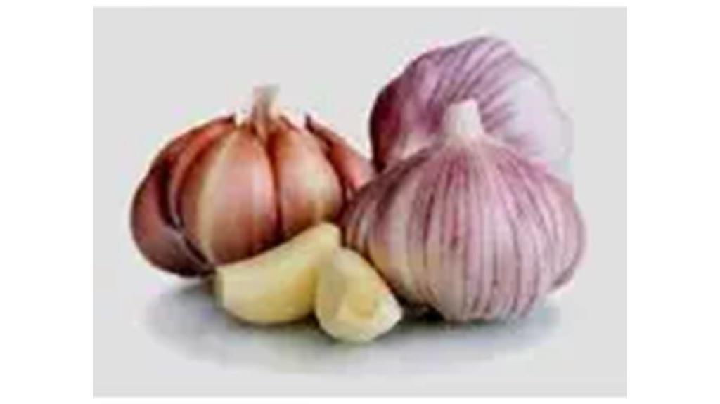 seven siberian garlic bulbs