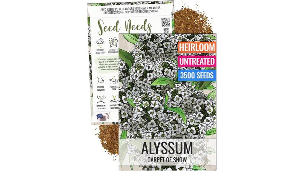 snow alyssum seed planting