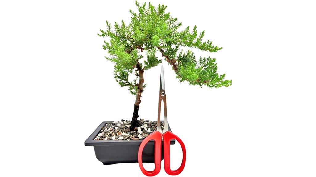 stainless steel bonsai scissors