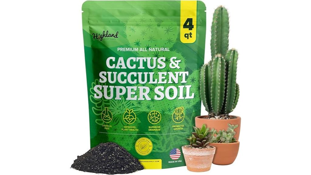 succulent indoor plant soil