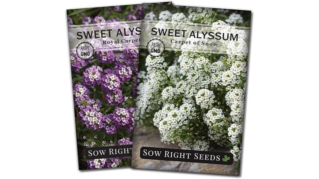 sweet alyssum flower seeds