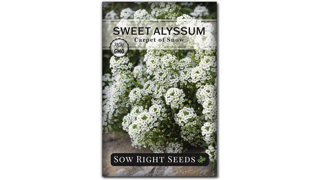 sweet alyssum white carpet seeds