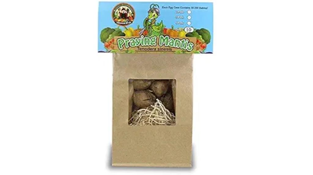 ten mantis egg cases