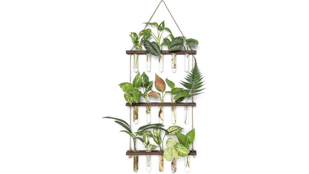 tiered wall hanging terrarium