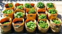 top 12 portable grow bags