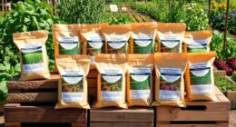 top buckwheat cover crop seeds