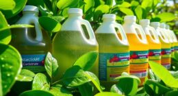 top insecticide soap gallons