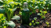 top organic seaweed fertilizers