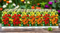 top trailing nasturtium seeds