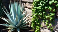 unfriendly plant combinations to avoid