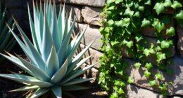unfriendly plant combinations to avoid