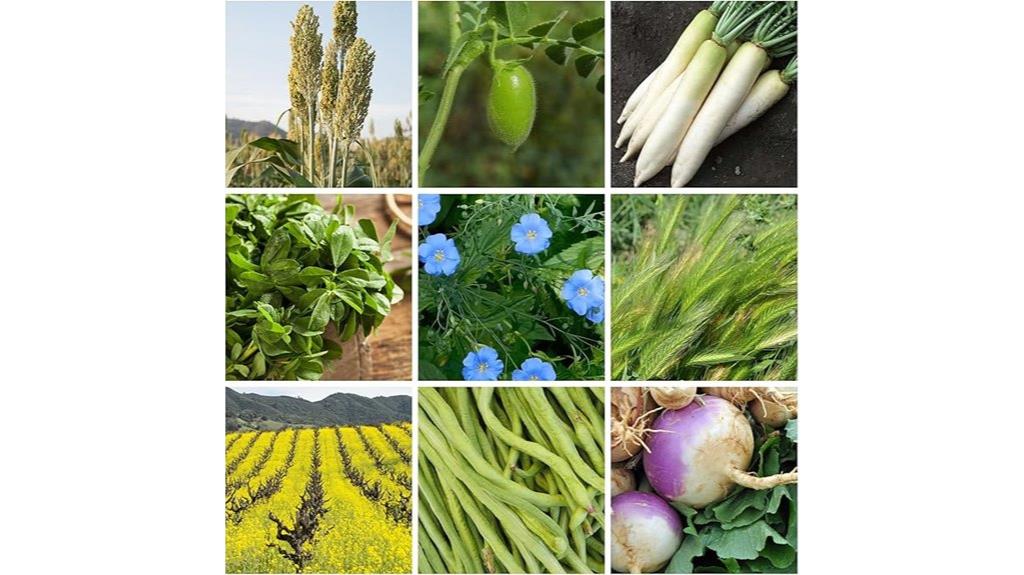winter cover crop mix