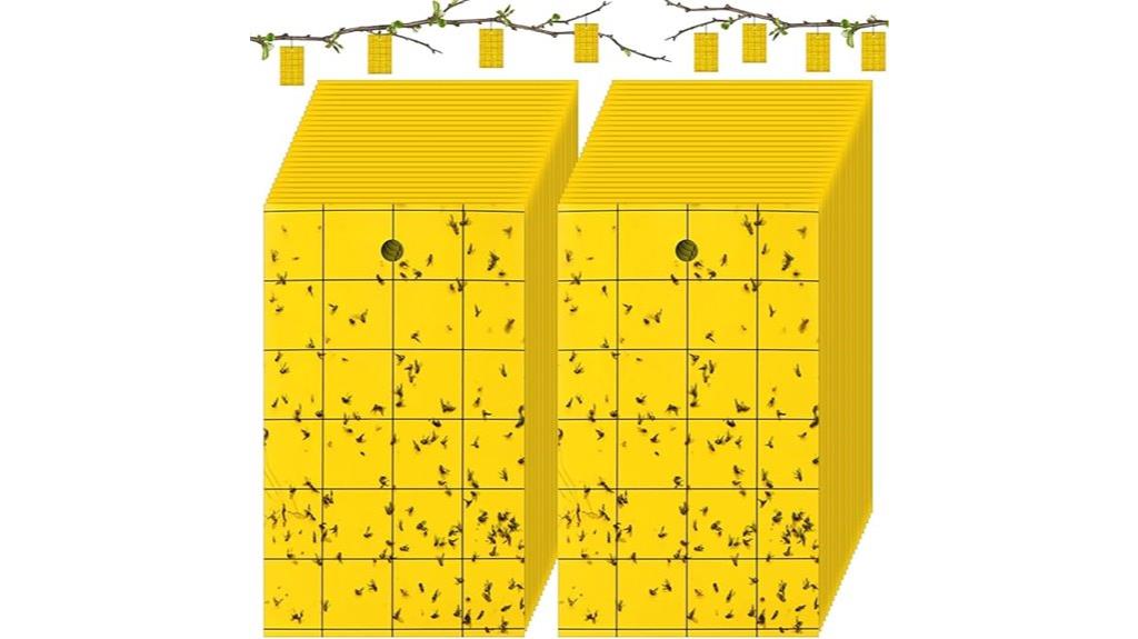 yellow sticky gnat traps