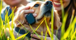 top pet gps trackers
