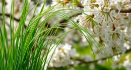 chives boost fruit blossom