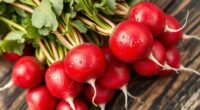 radishes for rapid planting