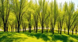 sunlight friendly wind barriers