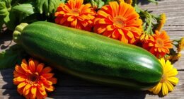 zucchini garnished with edible flowers