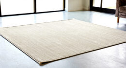 10 Best Area Rug Wool Large in 2026
